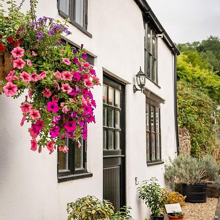 Woodview - Cosy 1840S Cottage In Chew Valley And Mendip Aonb Compton Martin Eksteriør bilde