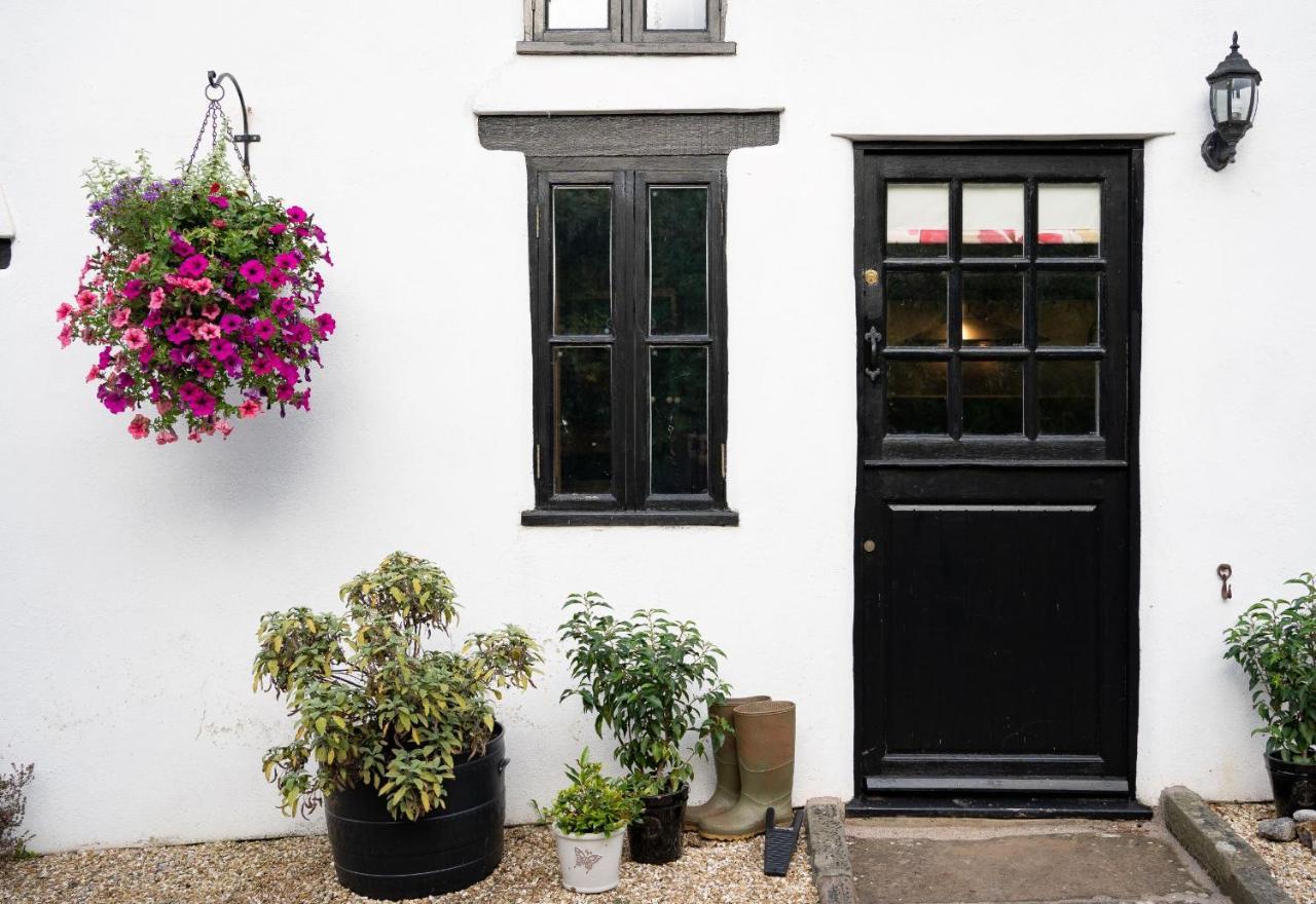 Woodview - Cosy 1840S Cottage In Chew Valley And Mendip Aonb Compton Martin Eksteriør bilde