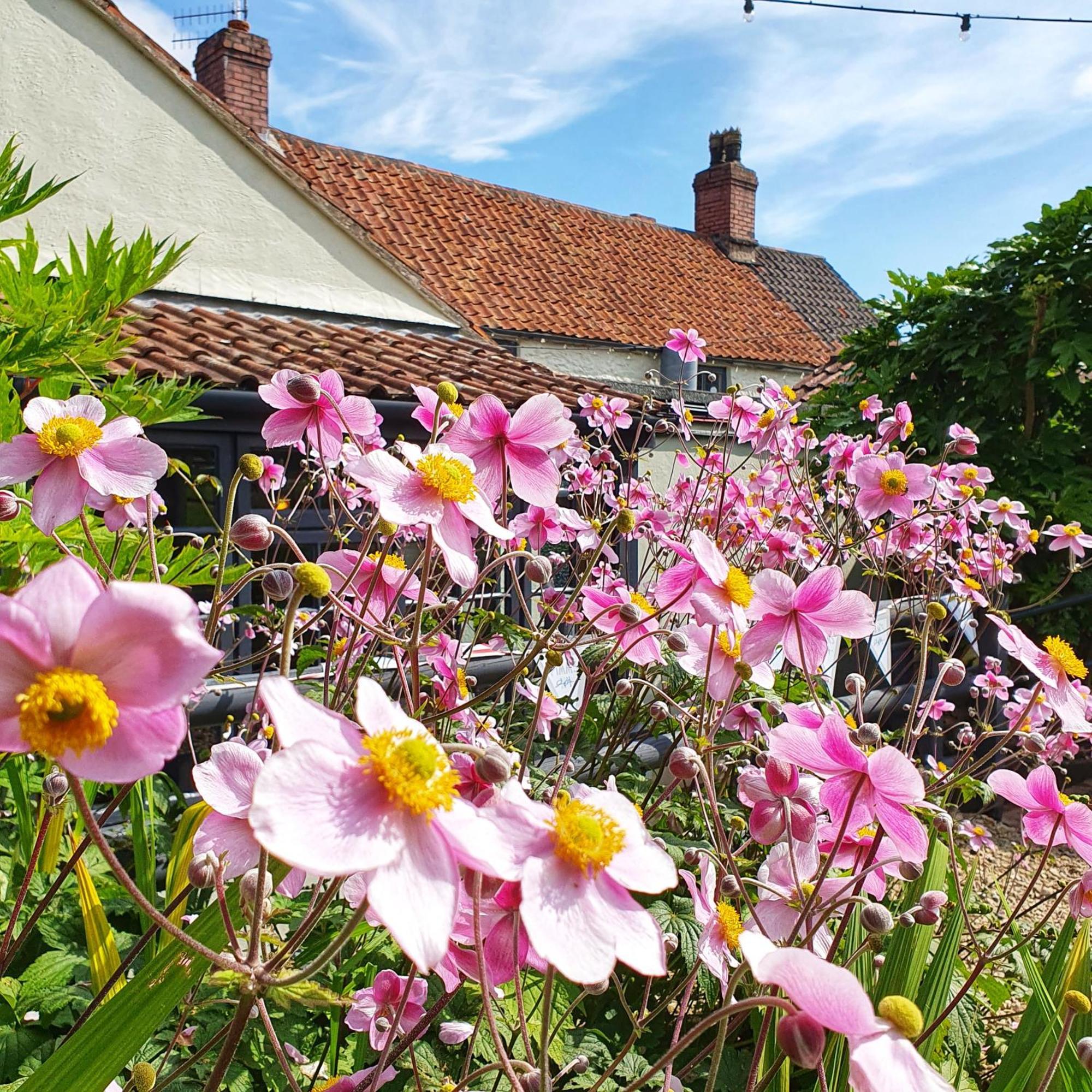 Woodview - Cosy 1840S Cottage In Chew Valley And Mendip Aonb Compton Martin Eksteriør bilde